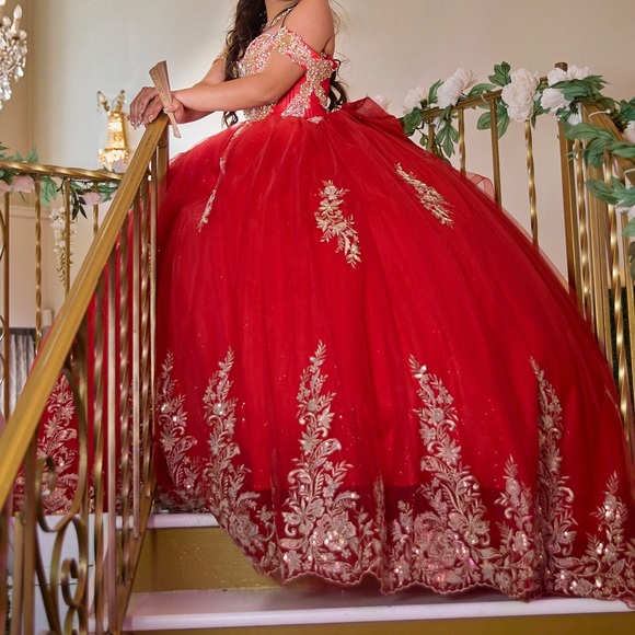 Custom made quinceañera dress - Picture 2 of 5